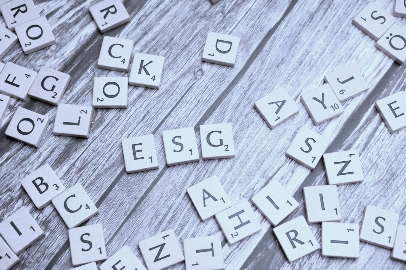 Environment – Social – Governance: Was ist ESG?