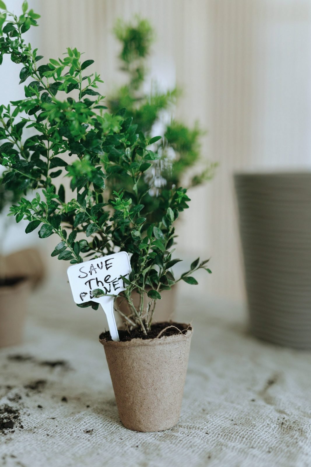 Interim Manager ESG Richtlinie umsetzen