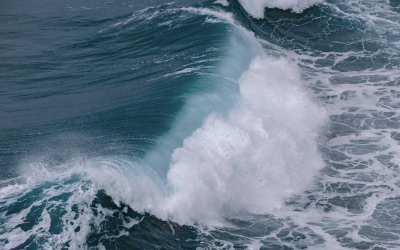 Sanierung: ESUG als Rettungsanker für Unternehmen!