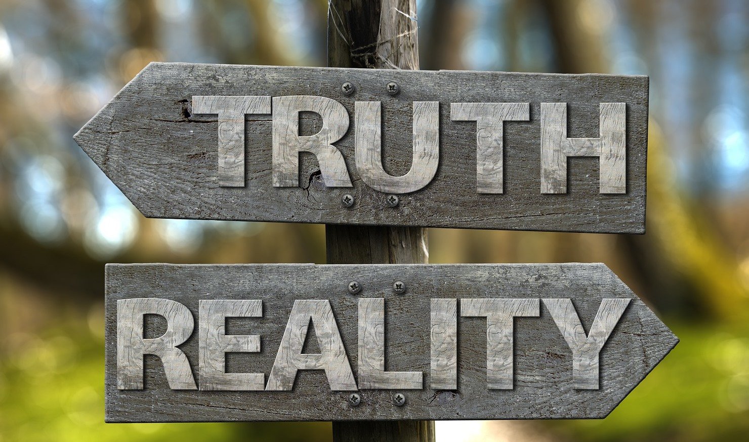 Faktencheck: Die 5 größten Irrtümer über Interim Management